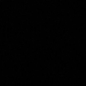 Meet your Posher, Trisha